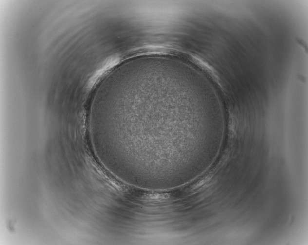 X0000100901411200807011210
