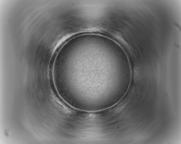 X0000100901412200807011210