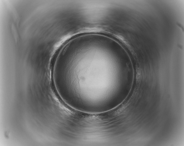 X0000100901414200807011210