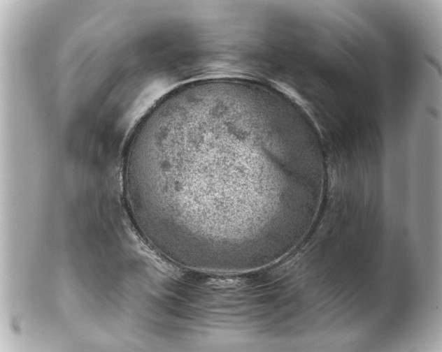 X0000100901415200807011210