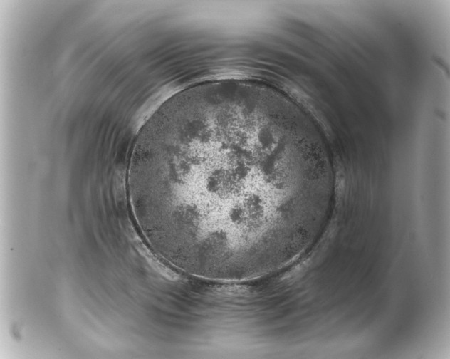 X0000100901417200807011210