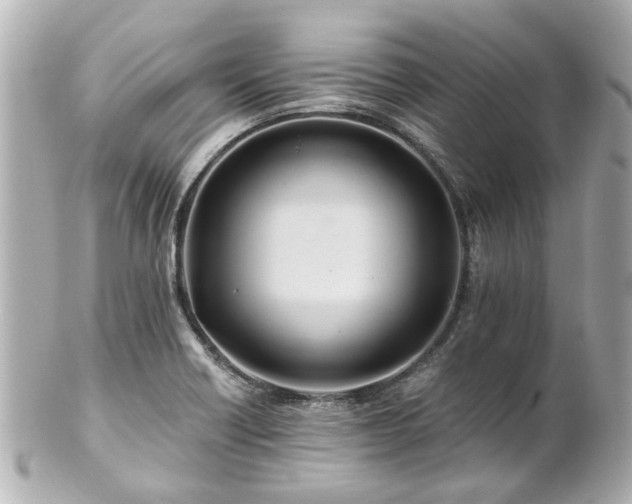 X0000100901418200807011210