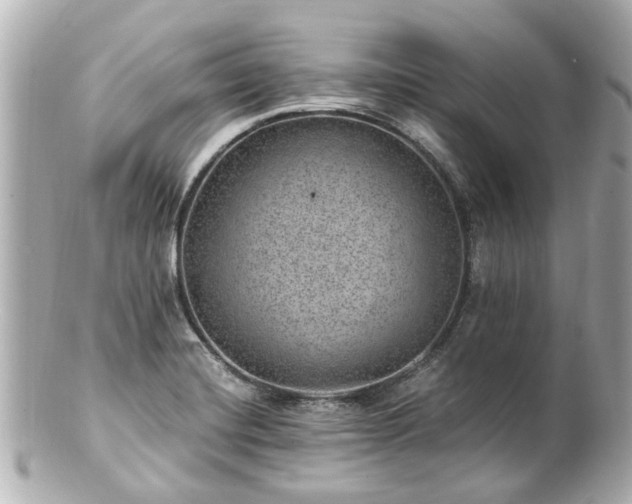 X0000100901420200807011210
