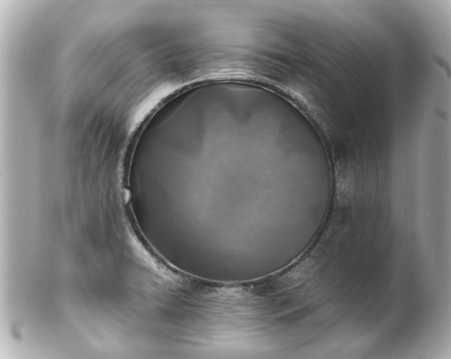 X0000100901422200807011210