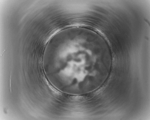 X0000100901425200807011210