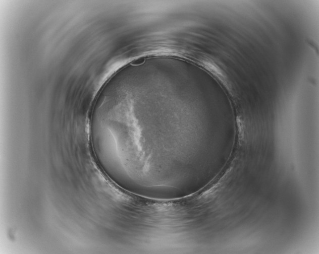 X0000100901428200807011210