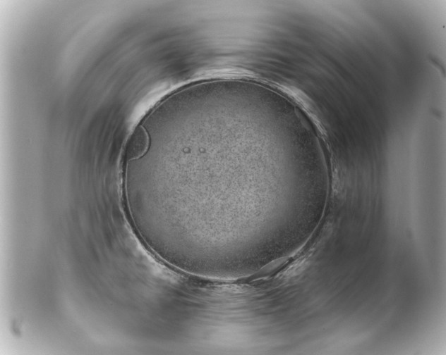 X0000100901430200807011210