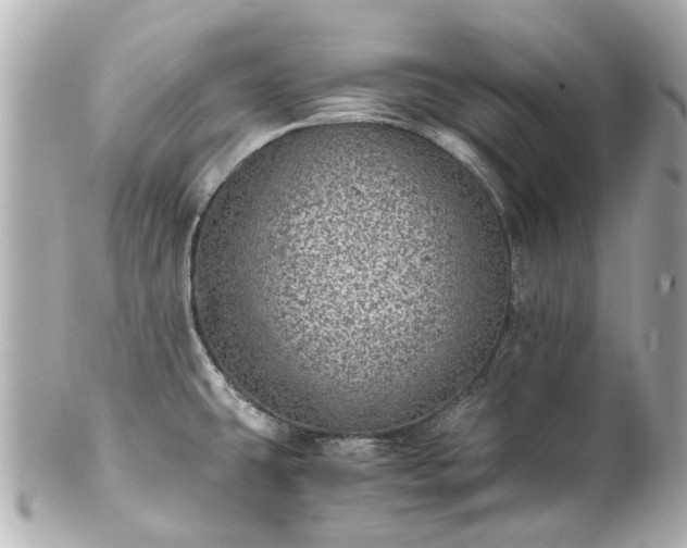 X0000100901431200807011210