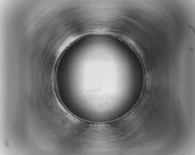X0000100901432200807011210