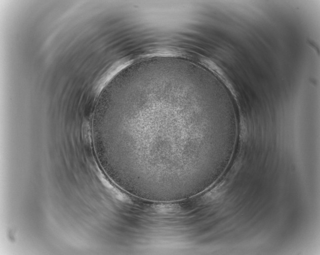 X0000100901433200807011210