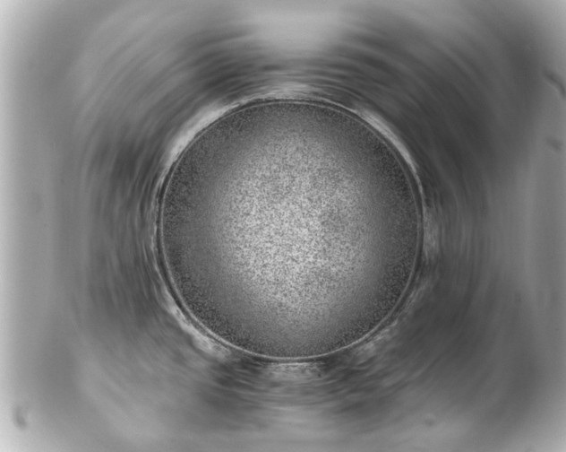 X0000100901437200807011210