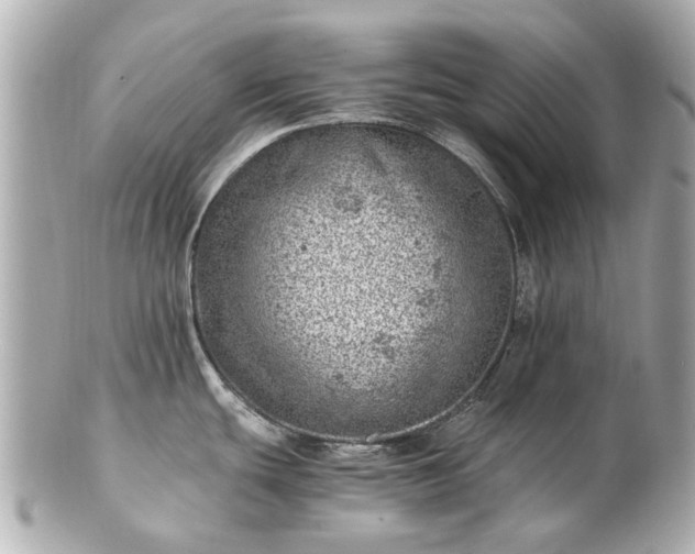 X0000100901439200807011210