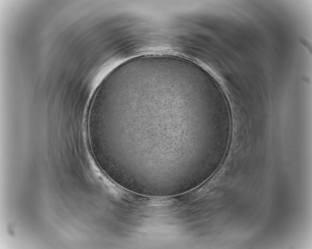 X0000100901440200807011210