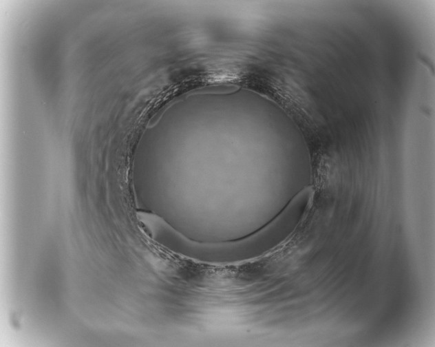 X0000100901441200807011209