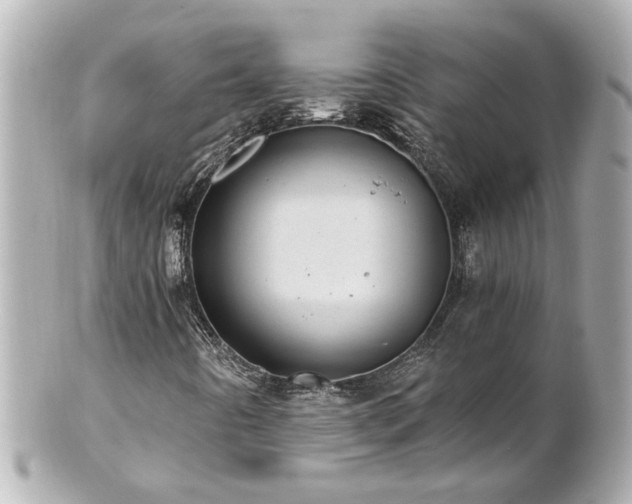 X0000100901442200807011209