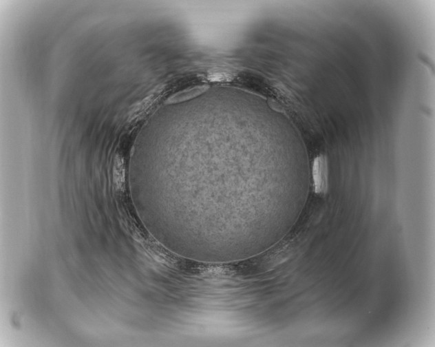 X0000100901443200807011209