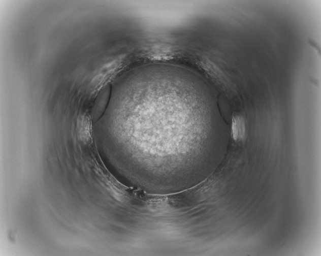 X0000100901444200807011209