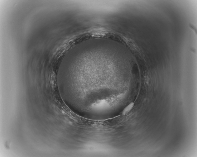 X0000100901445200807011209