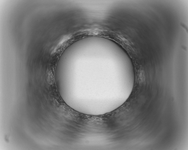 X0000100901446200807011209