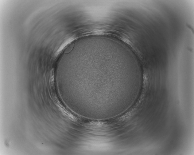 X0000100901450200807011209