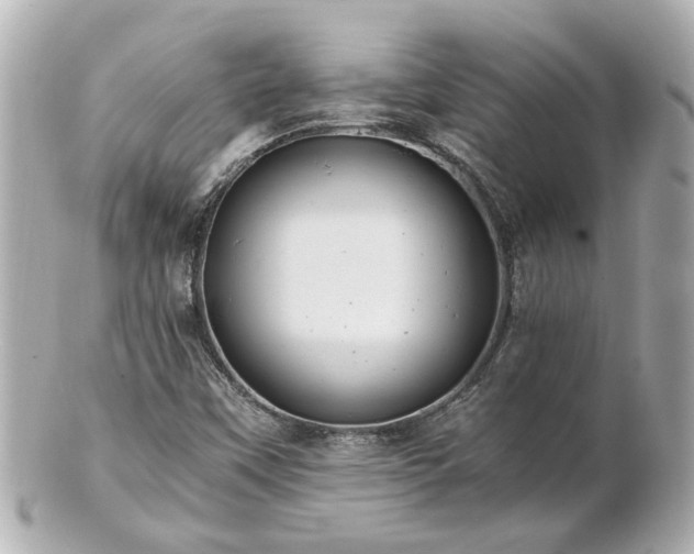 X0000100901451200807011209