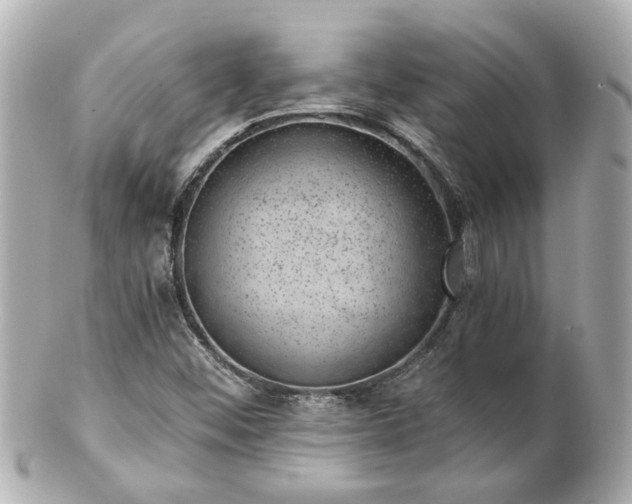 X0000100901452200807011209