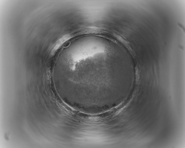 X0000100901453200807011209