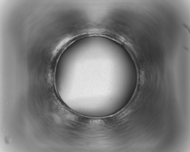 X0000100901454200807011209