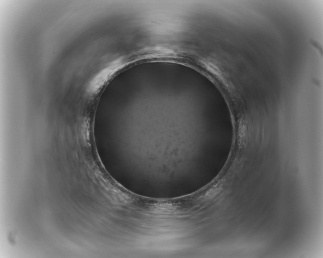 X0000100901455200807011209