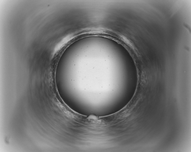 X0000100901456200807011209