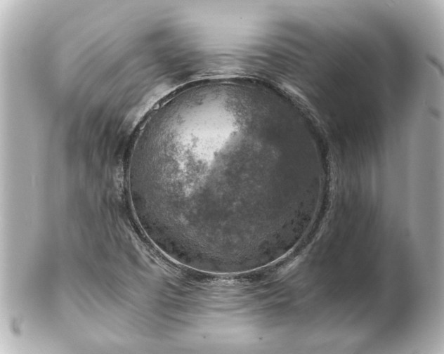 X0000100901457200807011209