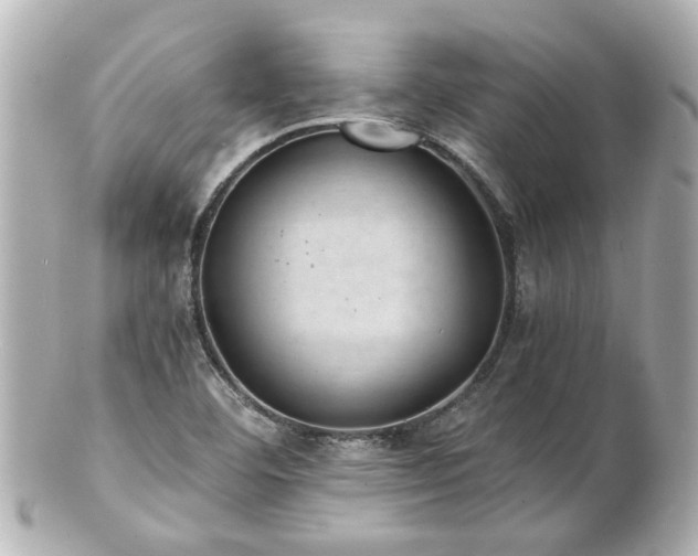 X0000100901460200807011209