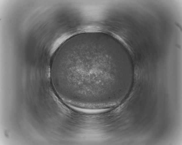 X0000100901461200807011209