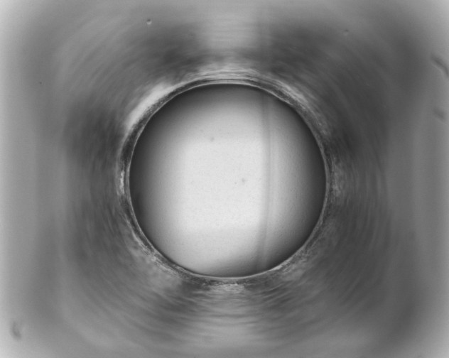 X0000100901462200807011209