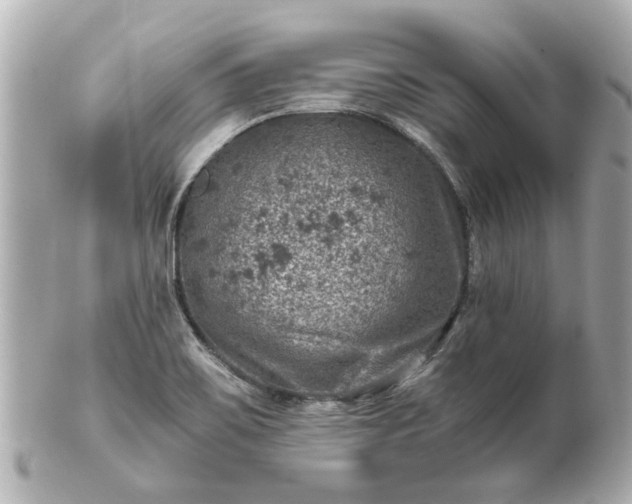 X0000100901467200807011209