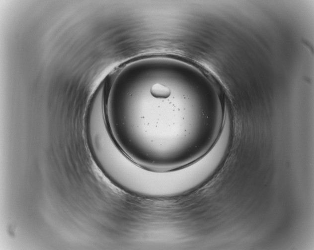 X0000100901468200807011209