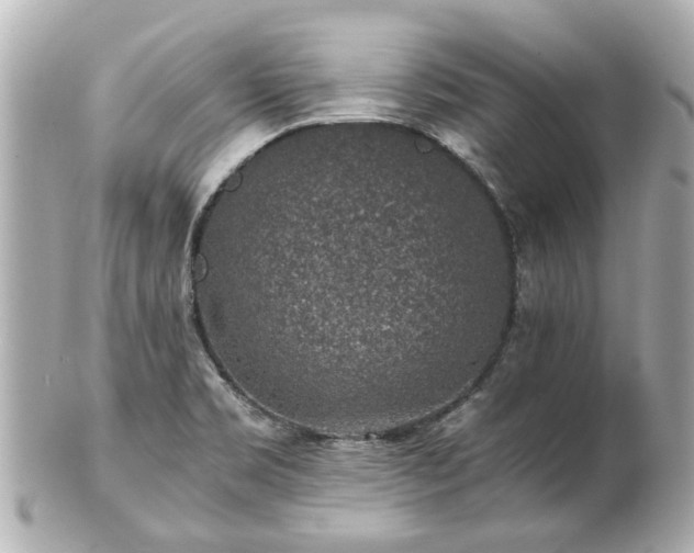 X0000100901469200807011209