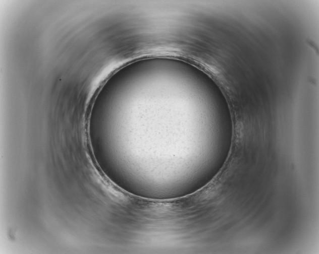 X0000100901470200807011209