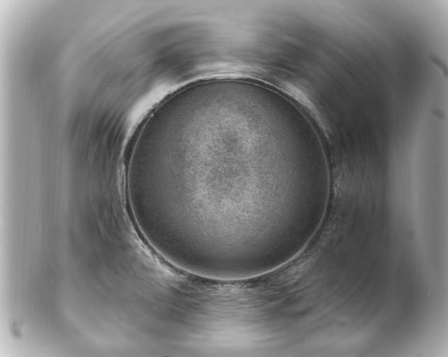 X0000100901472200807011209