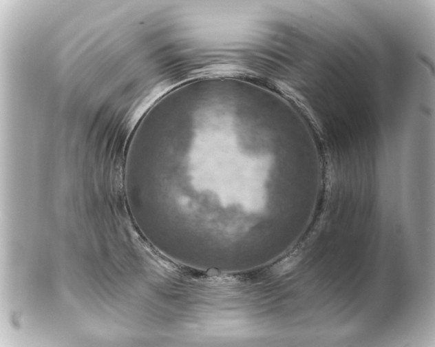 X0000100901473200807011209