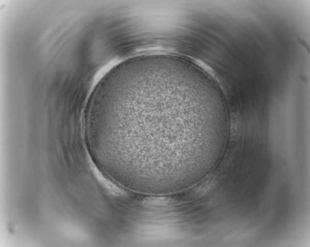 X0000100901474200807011209