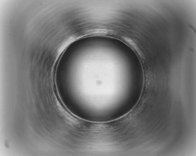 X0000100901475200807011209