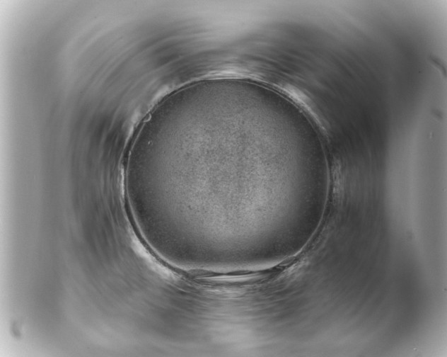 X0000100901476200807011209