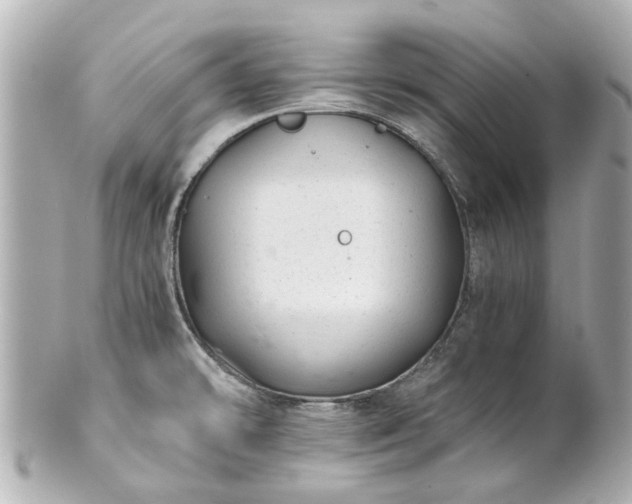 X0000100901478200807011209