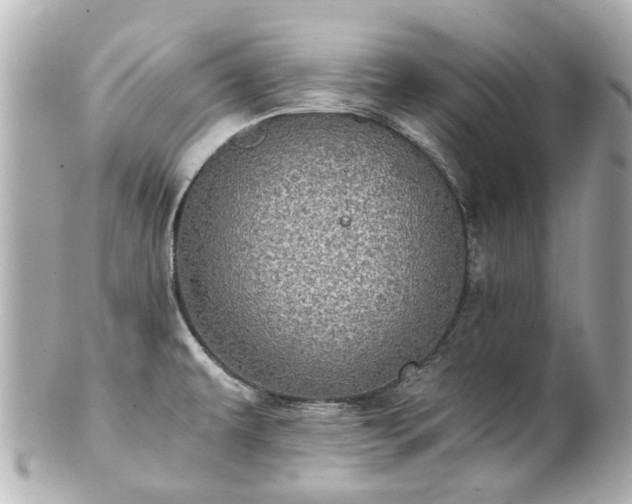 X0000100901479200807011209