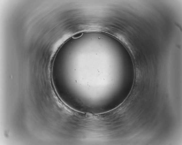 X0000100901480200807011209