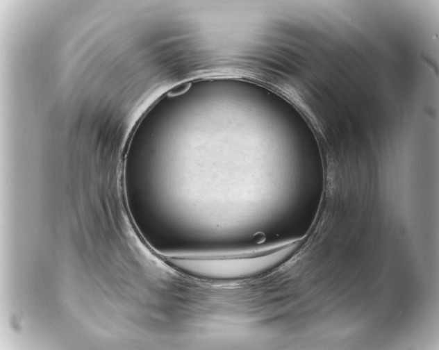X0000100901484200807011209