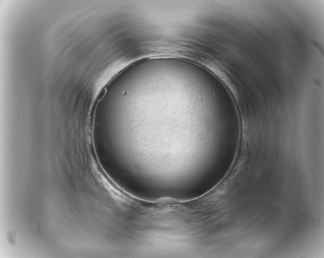 X0000100901485200807011209
