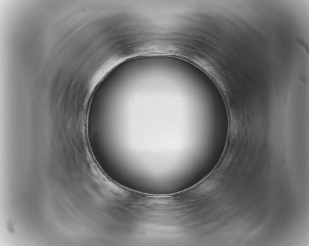 X0000100901486200807011209