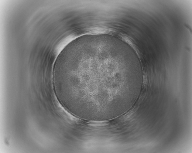 X0000100901487200807011209